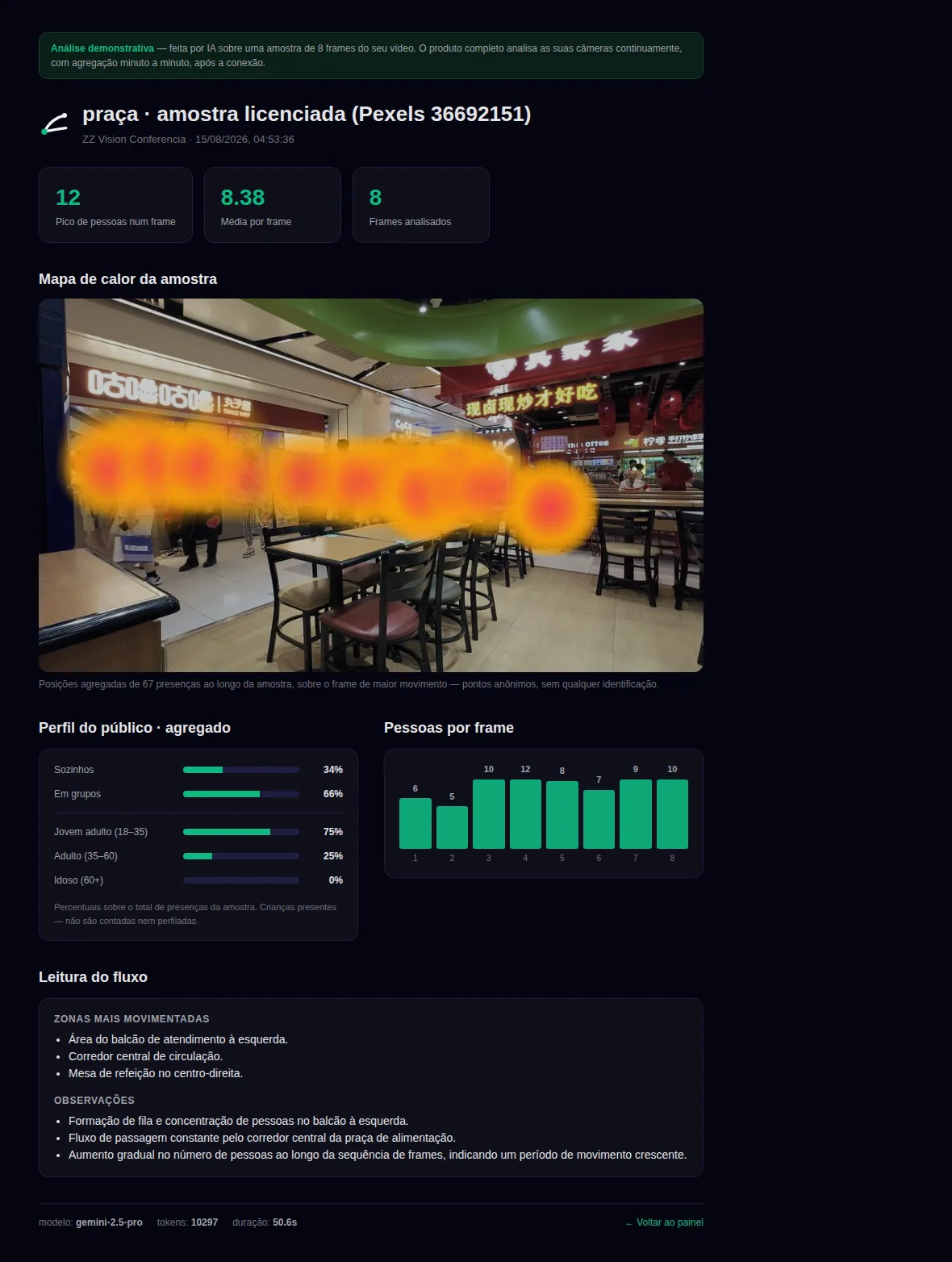Relatório real do Vision: mapa de calor sobre o frame da amostra, KPIs de fluxo, perfil agregado e contagem frame a frame