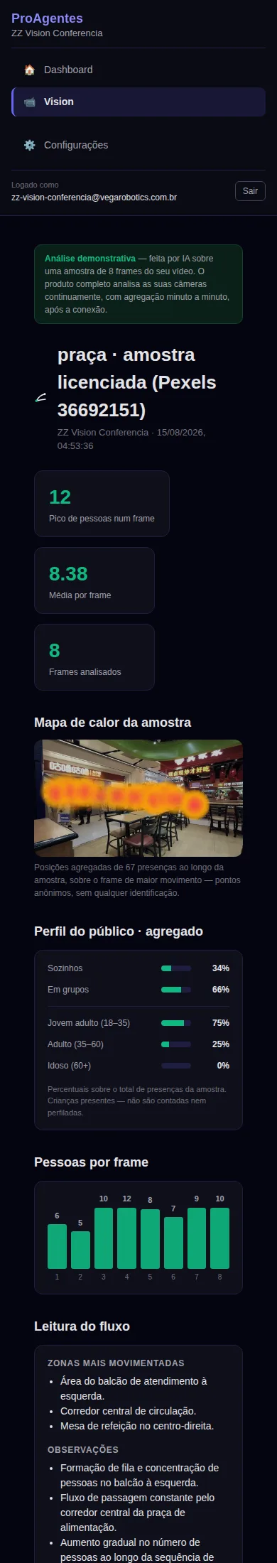Relatório real do Vision no celular: mapa de calor sobre o frame da amostra, KPIs de fluxo e perfil agregado